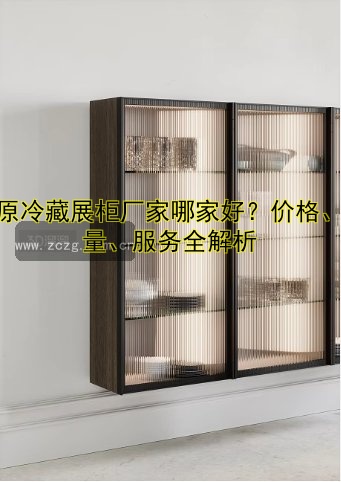 冰原冷藏展柜厂家哪家好？价格、质量、服务全解析