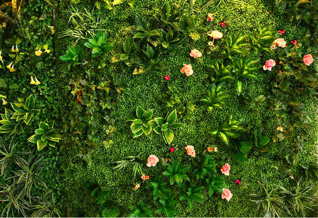 如何制作效果逼真的仿真植物墙「如何设计仿真植物墙效果图」