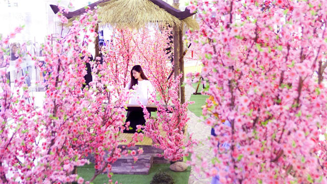 春季美陈之三生三世十里桃花「」