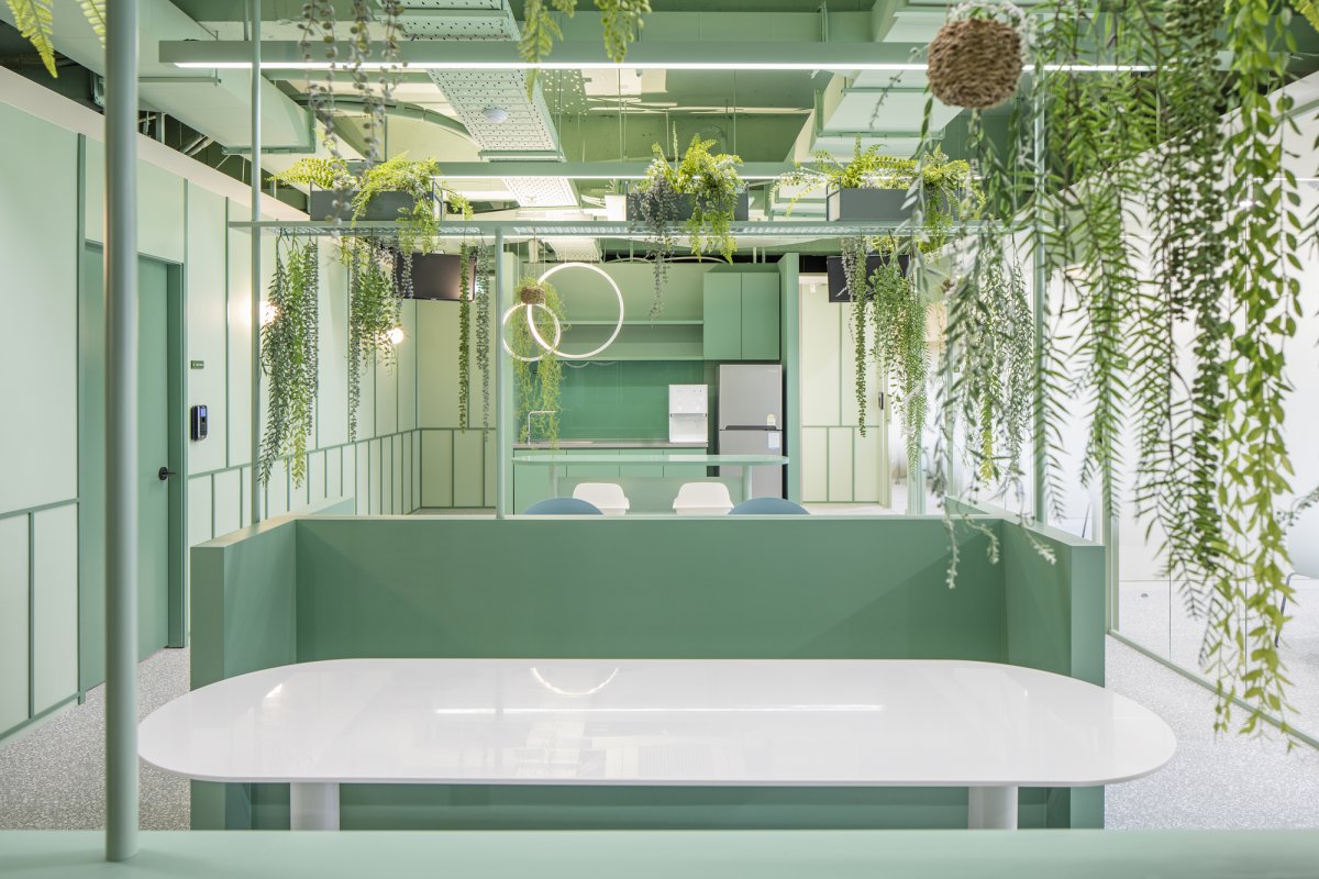 办公室装修摆放绿植的作用「装修后的办公室适合放什么绿植」