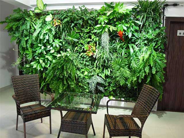 仿真植物墙装饰的新意境「植物墙面装饰」