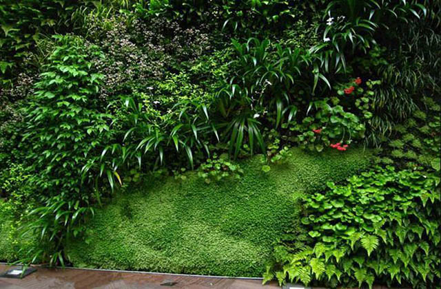 仿真植物墙用于墙面造景美出新高度「」