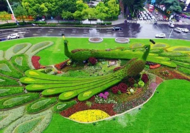 户外街景之立体绿雕的制作「立体绿雕景观植物材料」