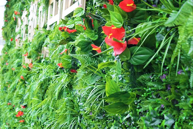 仿真植物墙在室内绿化装饰中的应用「」