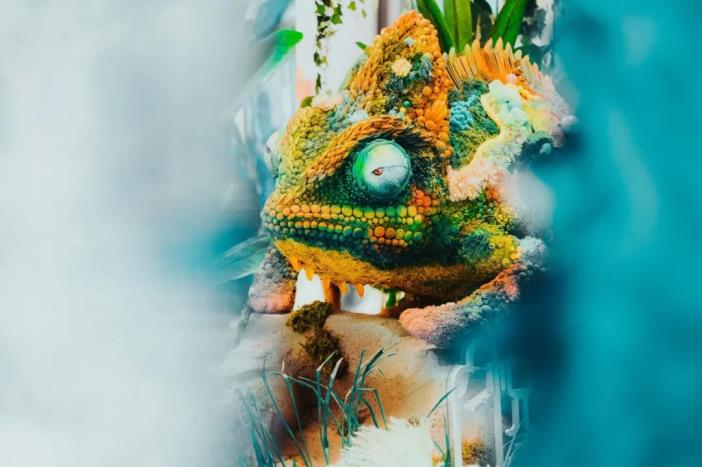 杭州首个自然沉浸艺术展——植屿