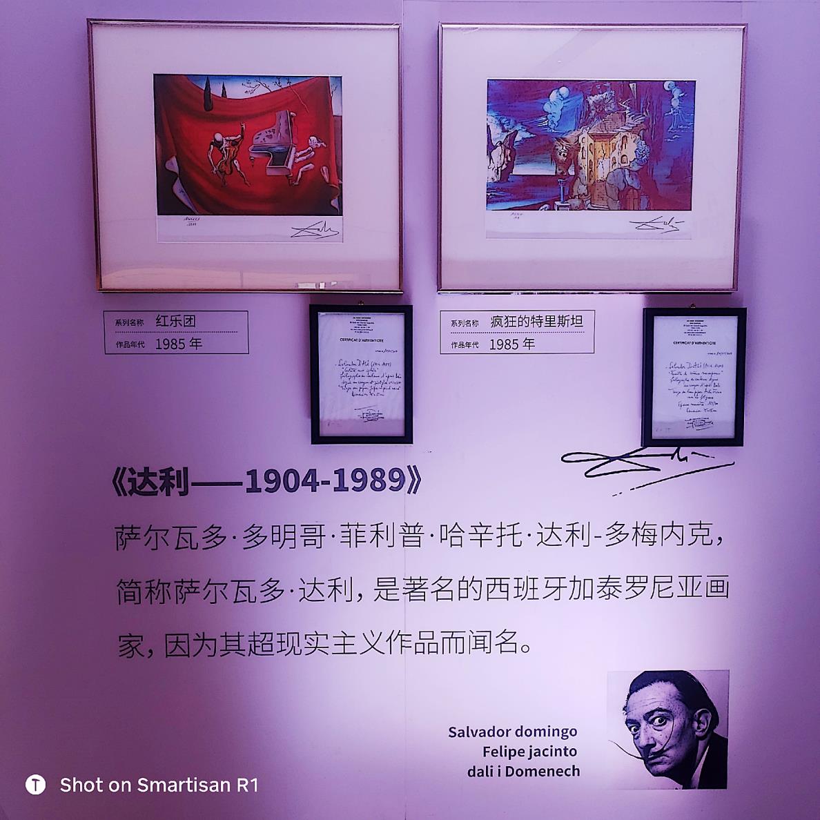 浙江.宁波.毕加索.达利.马蒂斯真迹展