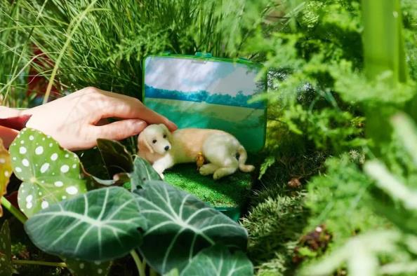 「一方植遇」艺术展