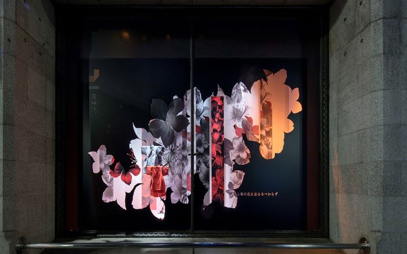 橱窗展示