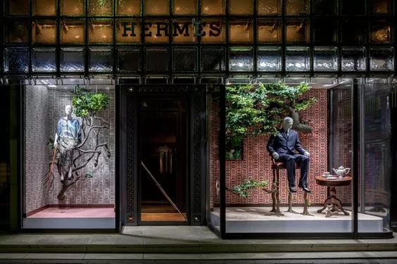 谁说橱窗里放绿植土到渣？把绿植放在橱窗里 高级炸了